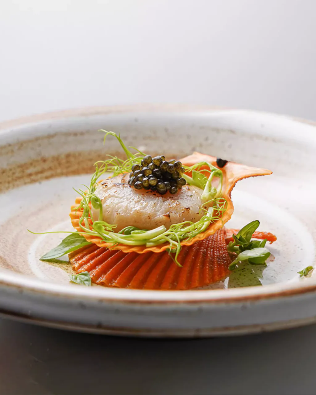 ALANIZ JIN Series Wood-Fired Gloss Rimmed Vintage Plate - Image 5