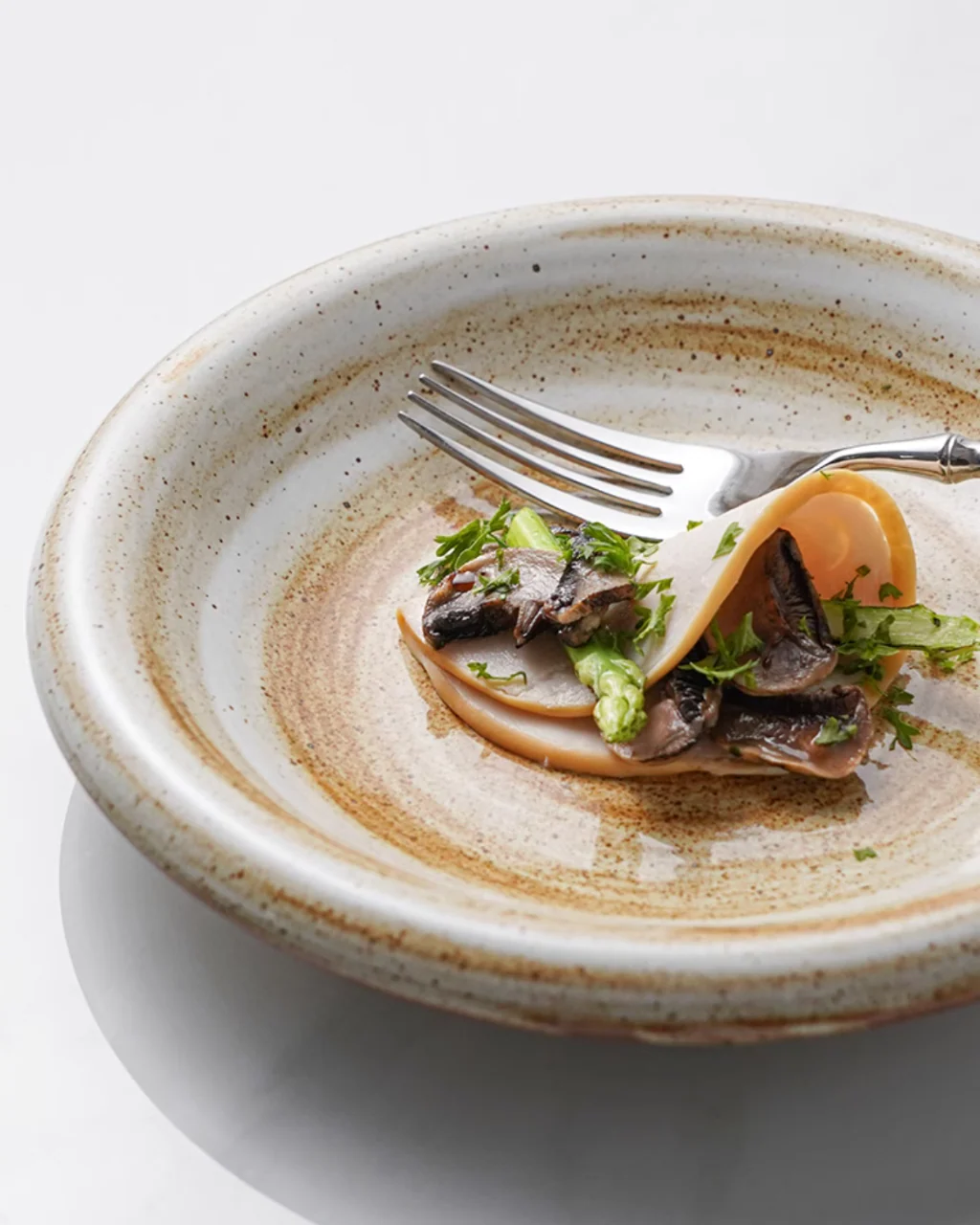 ALANIZ JIN Series Wood-Fired Gloss Rimmed Vintage Plate - Image 8