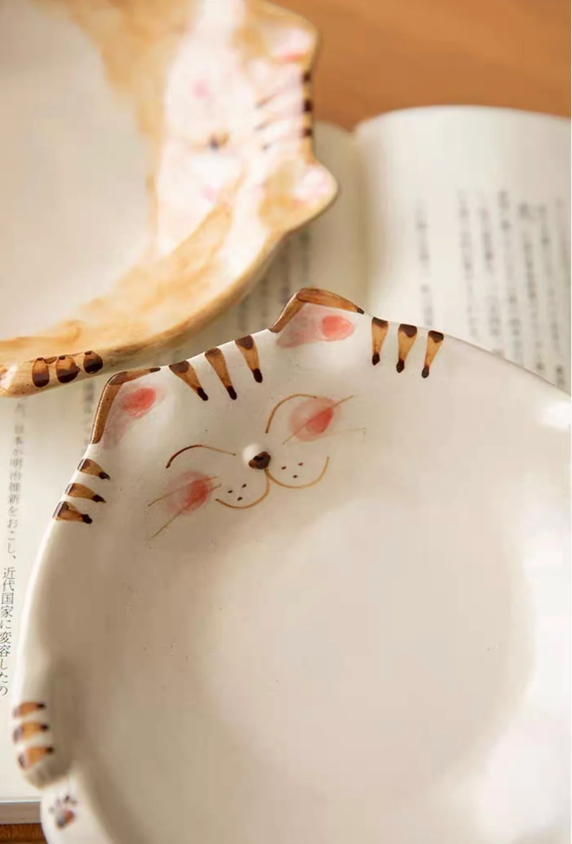 Hasami-Yaki Kikuyoshi Kiln Hand-Painted Lucky Cat Rustic Ceramic Plate - Image 14
